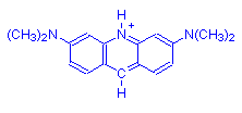 Chemical structure of Acridine Orange