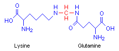 Mythelene bridge formed between side amino groups of lysine and glutamine