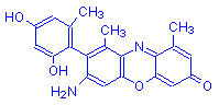 Chemical structure of α-Aminoorcein
