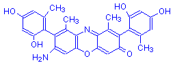 Chemical structure of β-Aminoorcein