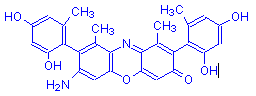 Chemical structure of γ-Aminoorcein