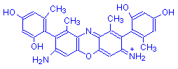 Chemical structure of β-Aminoorceimine