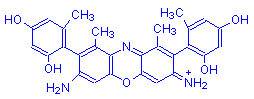 Chemical structure of γ-Aminoorceimine