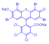 Chemical structure of Phloxine B