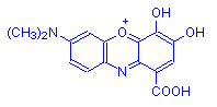 Chemical structure of Gallocyanin