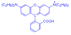 Chemical structure of Rhodamine B